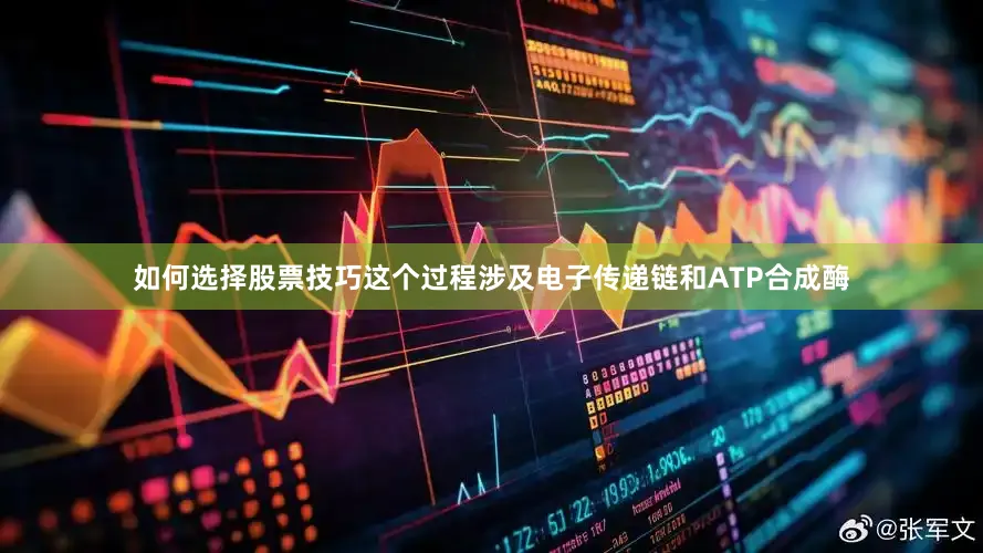 如何选择股票技巧这个过程涉及电子传递链和ATP合成酶