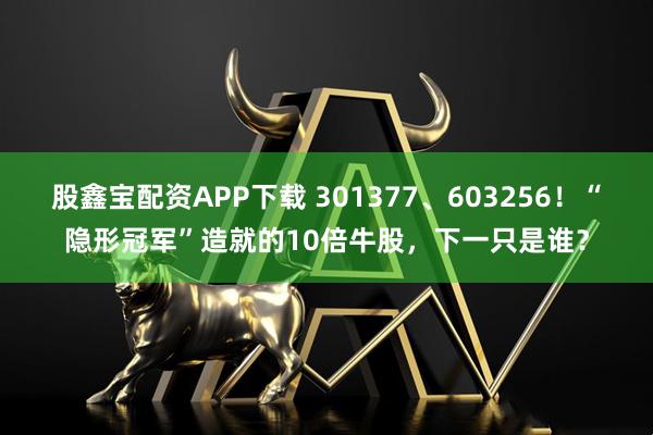 股鑫宝配资APP下载 301377、603256！“隐形冠军”造就的10倍牛股，下一只是谁？